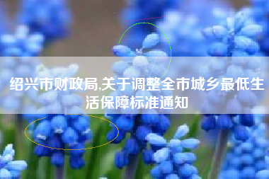 绍兴市财政局,关于调整全市城乡最低生活保障标准通知