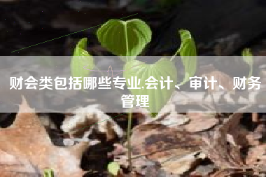 财会类包括哪些专业,会计、审计、财务管理