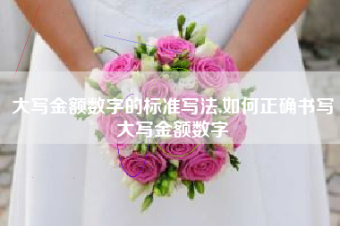 大写金额数字的标准写法,如何正确书写大写金额数字
