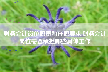 财务会计岗位职责和任职要求,财务会计岗位需要承担哪些具体工作
