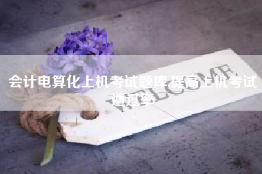 会计电算化上机考试题库,提高上机考试通过率