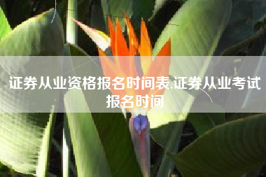 证券从业资格报名时间表,证券从业考试报名时间