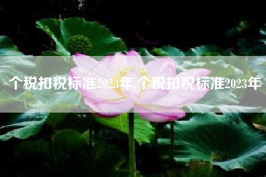 个税扣税标准2023年,个税扣税标准2023年