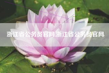 浙江省公务员官网,浙江省公务员官网