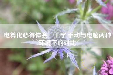 电算化心得体会一千字,手动与电脑两种环境下的对比