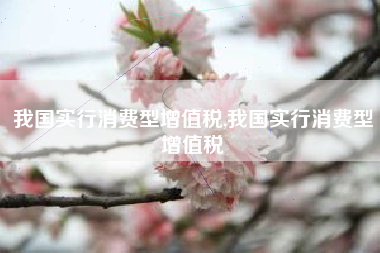 我国实行消费型增值税,我国实行消费型增值税