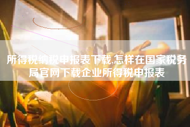 所得税纳税申报表下载,怎样在国家税务局官网下载企业所得税申报表