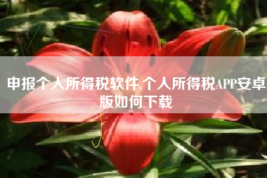申报个人所得税软件,个人所得税APP安卓版如何下载
