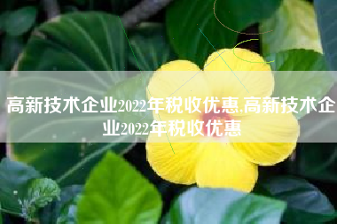 高新技术企业2022年税收优惠,高新技术企业2022年税收优惠