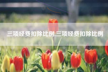 三项经费扣除比例,三项经费扣除比例