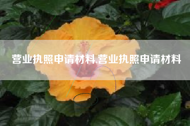 营业执照申请材料,营业执照申请材料