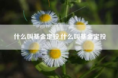 什么叫基金定投,什么叫基金定投