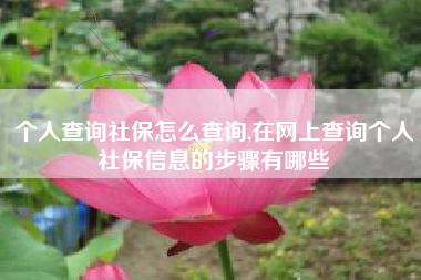 个人查询社保怎么查询,在网上查询个人社保信息的步骤有哪些