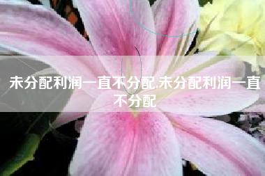 未分配利润一直不分配,未分配利润一直不分配
