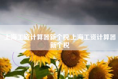 上海工资计算器新个税,上海工资计算器新个税