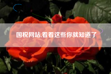 国税网站,看看这些你就知道了