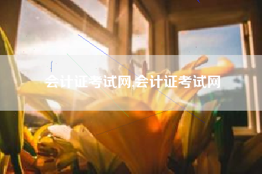会计证考试网,会计证考试网