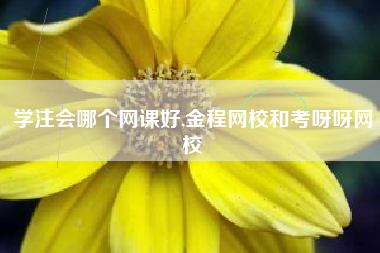 学注会哪个网课好,金程网校和考呀呀网校