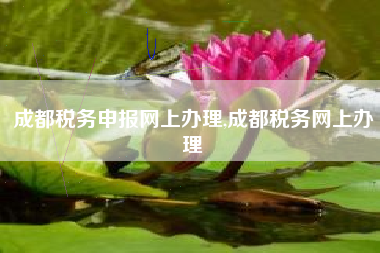 成都税务申报网上办理,成都税务网上办理