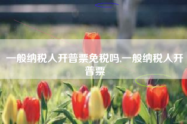 一般纳税人开普票免税吗,一般纳税人开普票