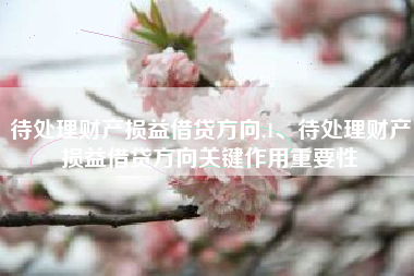 待处理财产损益借贷方向,1、待处理财产损益借贷方向关键作用重要性