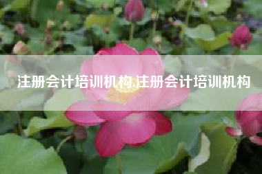 注册会计培训机构,注册会计培训机构