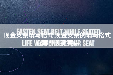 现金支票填写格式,现金支票的填写格式有哪些关键要点