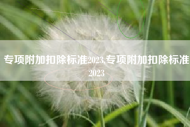专项附加扣除标准2023,专项附加扣除标准2023