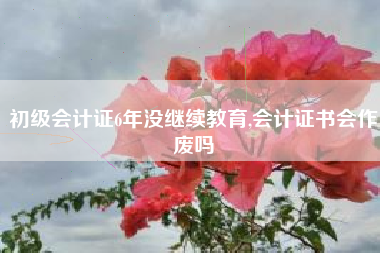 初级会计证6年没继续教育,会计证书会作废吗