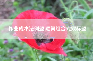 作业成本法例题,疑问组合式双标题