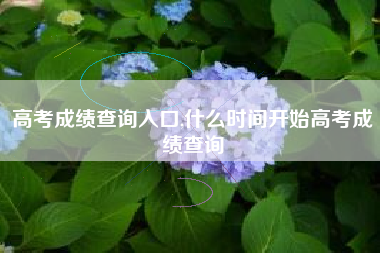 高考成绩查询入口,什么时间开始高考成绩查询