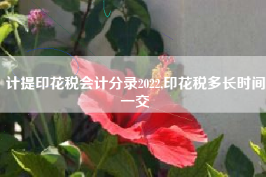 计提印花税会计分录2022,印花税多长时间一交