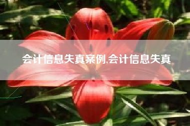 会计信息失真案例,会计信息失真
