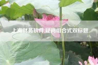 上海财务软件,疑问组合式双标题