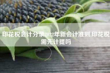 印花税会计分录2022年新会计准则,印花税需先计提吗