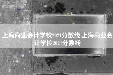 上海商业会计学校2021分数线,上海商业会计学校2021分数线