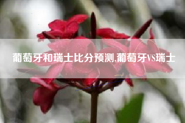 葡萄牙和瑞士比分预测,葡萄牙VS瑞士
