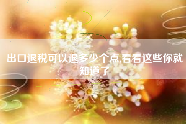 出口退税可以退多少个点,看看这些你就知道了