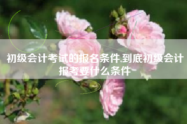 初级会计考试的报名条件,到底初级会计报考要什么条件