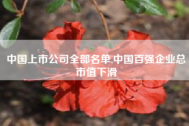 中国上市公司全部名单,中国百强企业总市值下滑