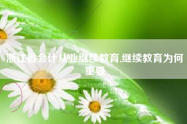 浙江省会计从业继续教育,继续教育为何重要