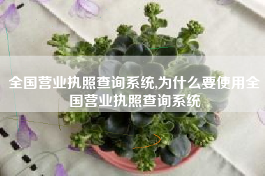 全国营业执照查询系统,为什么要使用全国营业执照查询系统
