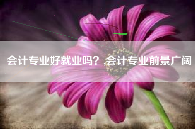 会计专业好就业吗？,会计专业前景广阔