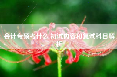 会计专硕考什么,初试内容和复试科目解析