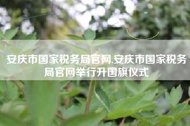 安庆市国家税务局官网,安庆市国家税务局官网举行升国旗仪式