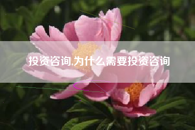 投资咨询,为什么需要投资咨询