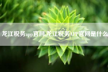 龙江税务app官网,龙江税务APP官网是什么