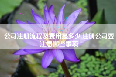 公司注册流程及费用是多少,注册公司要注意哪些事项