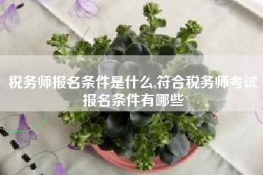 税务师报名条件是什么,符合税务师考试报名条件有哪些