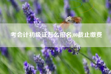 考会计初级证怎么报名,00截止缴费